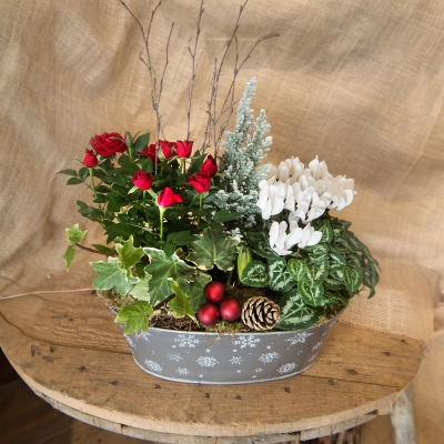 Christmas Planter Large