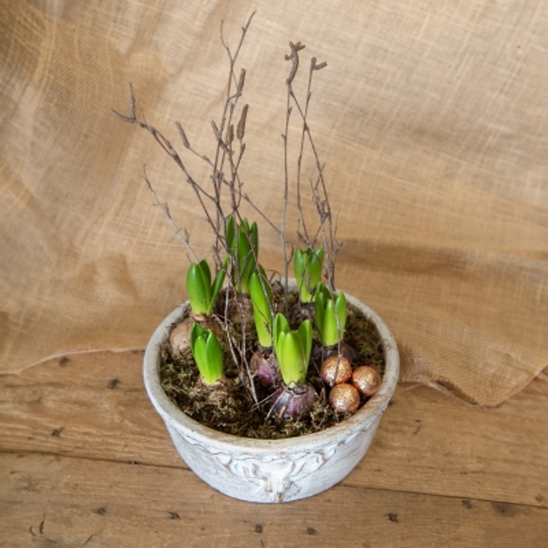 Hyacinth Planter