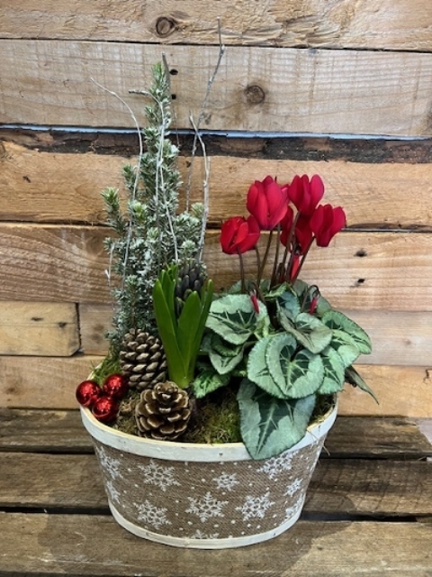 Christmas Planter